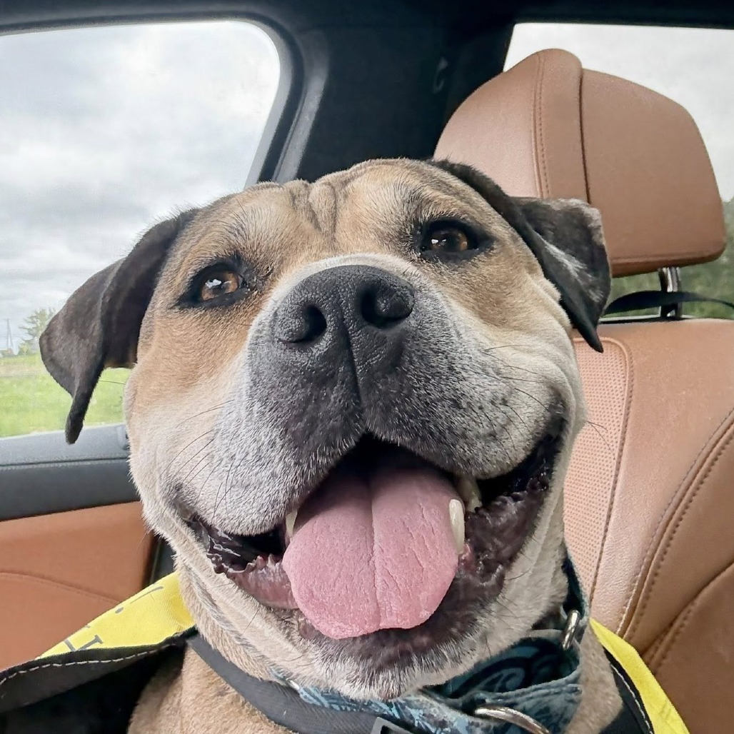 Bruce