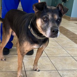 Precious, Senior Female unknown