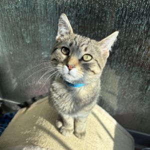 Mikey, Young Male unknown
