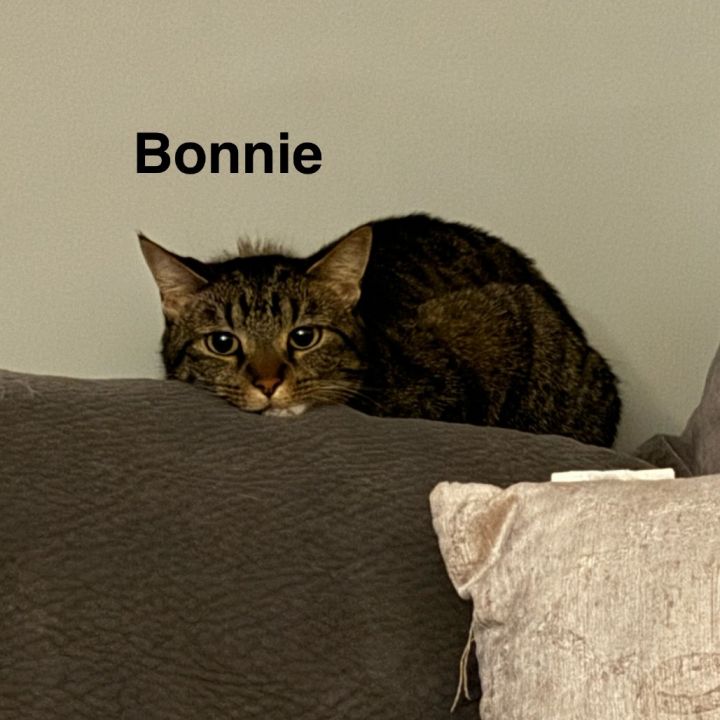 Bonnie - Home to Home 2