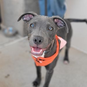 Max
