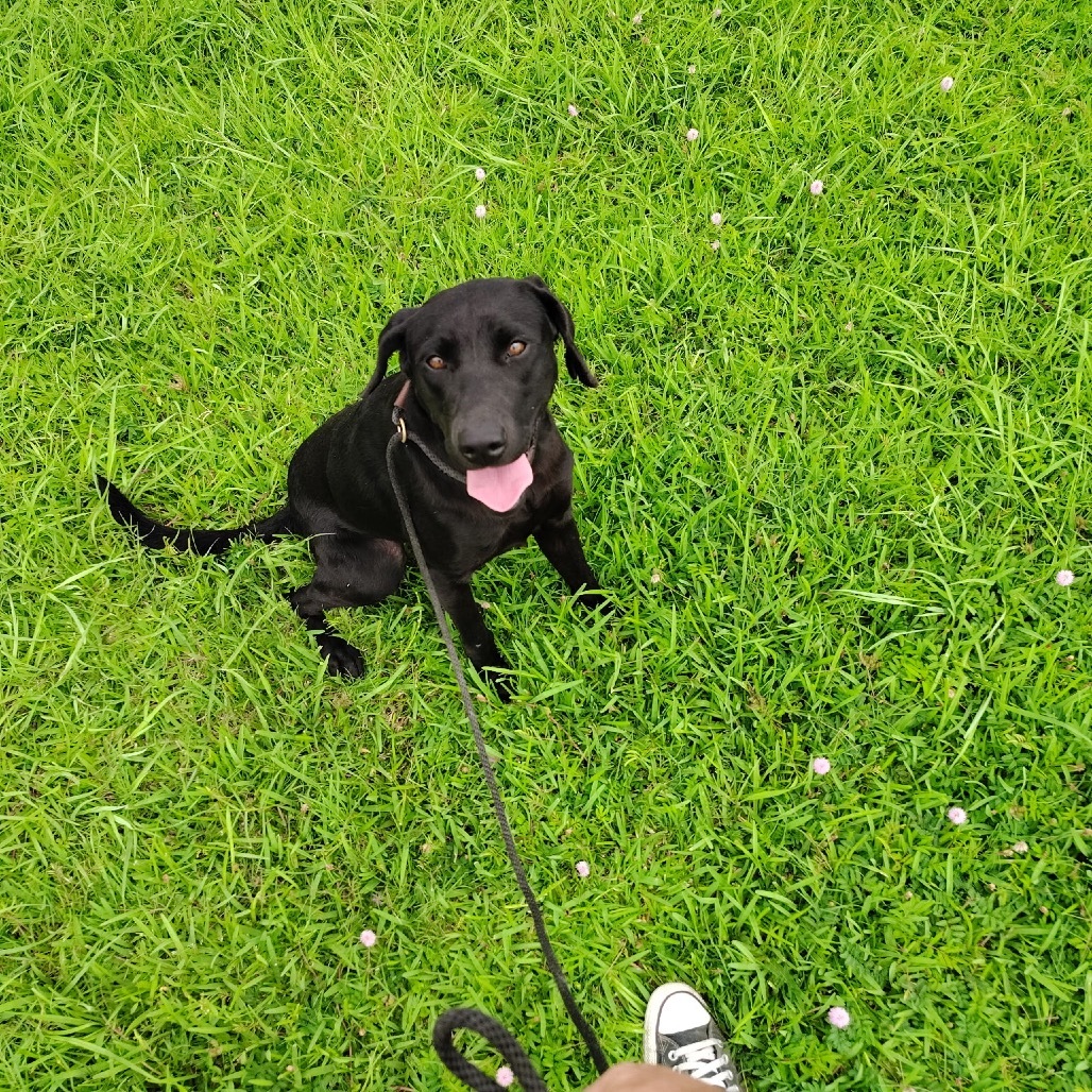 Riley