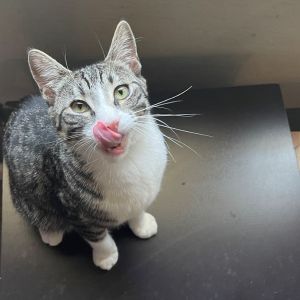 Carl is a sweet young dude He can be shy at first and takes some time get used 