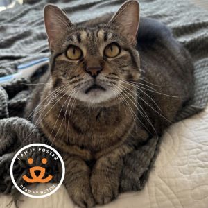Jess is currently in foster care and ready for adoption via our virtual process Learn more about he