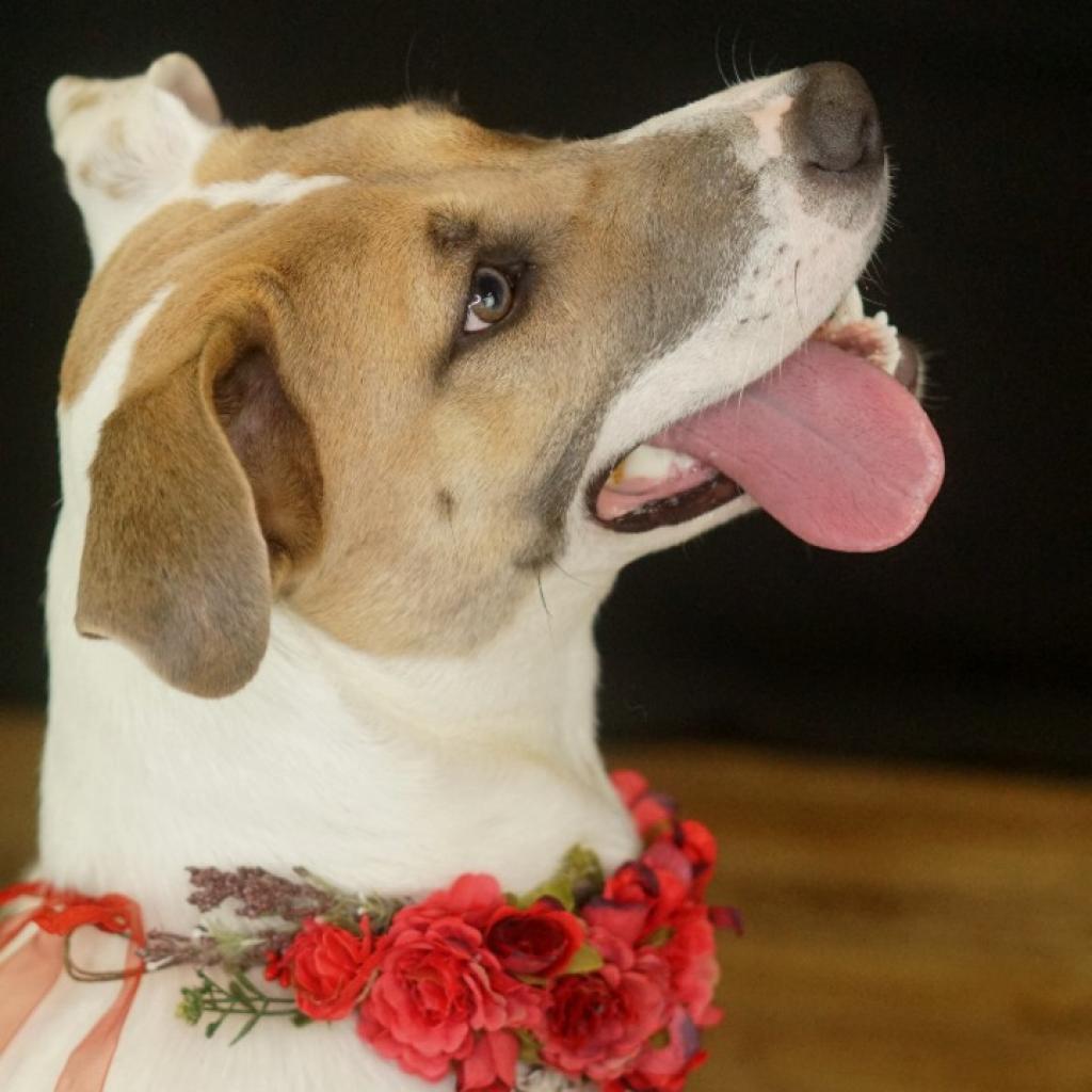 Ellie Mae