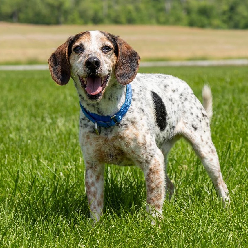 Roscoe