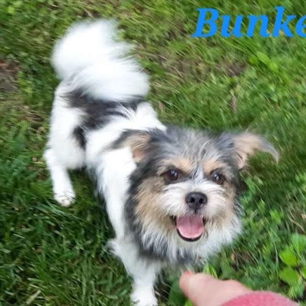 Bunker