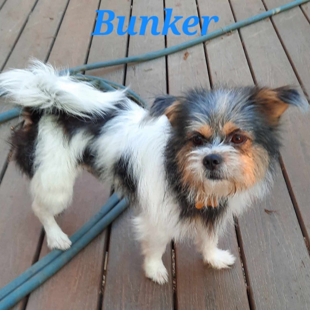 Bunker