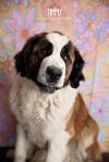 Timmy photo 1