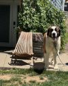 Timmy photo 3