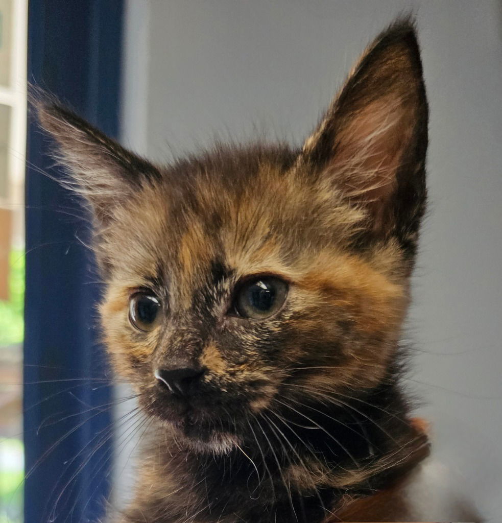Sabrina