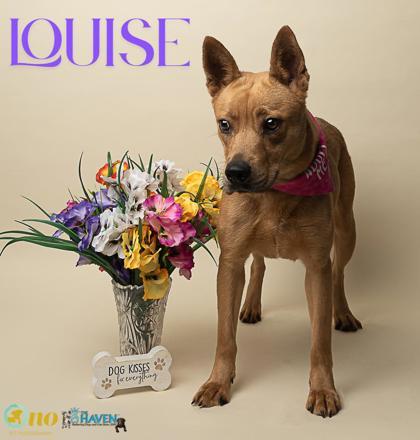 Louise 1