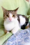 Cleo photo 2