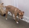 Wesley (Rusty) photo 3