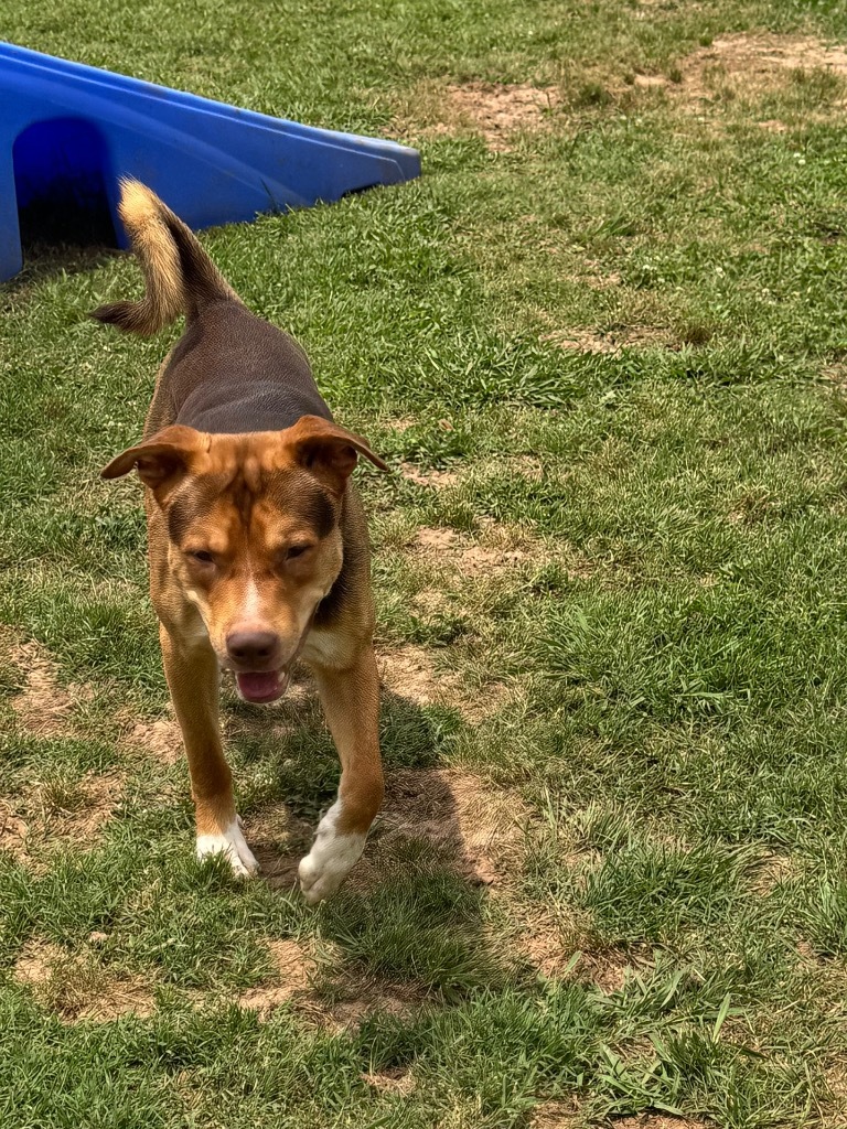 Nakita