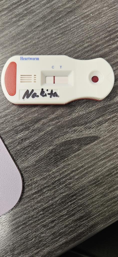 Nakita