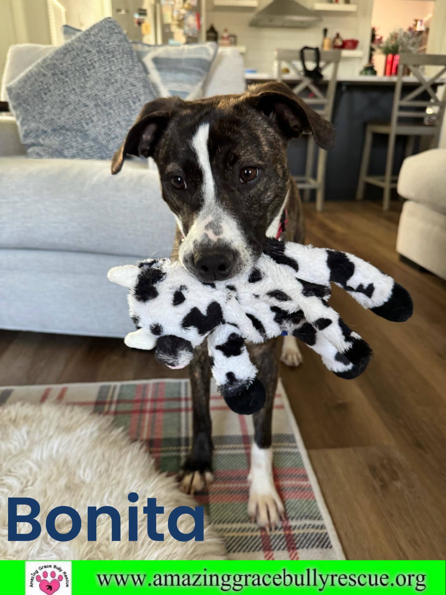 Bonita fka Kavala