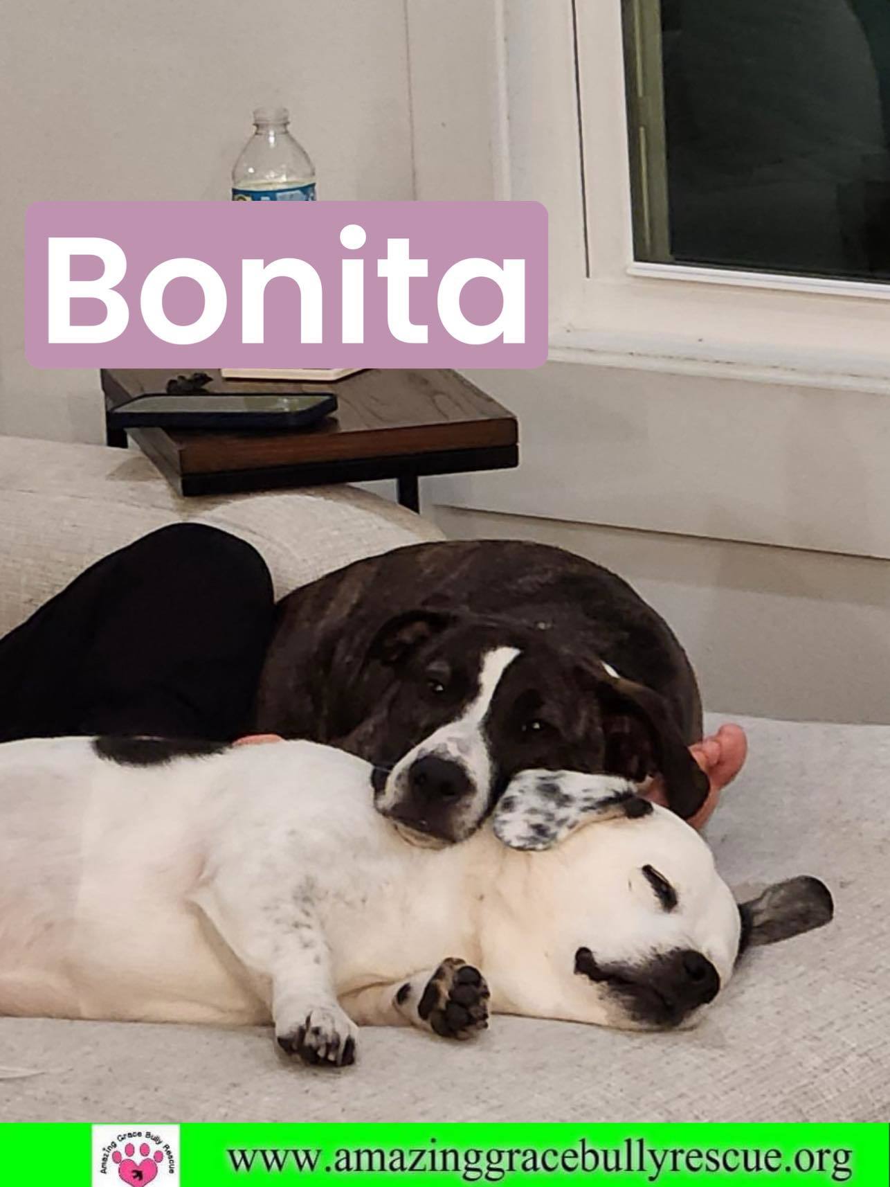 Bonita fka Kavala