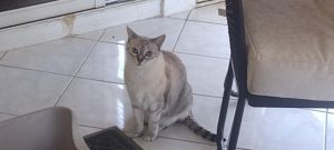 Izzie