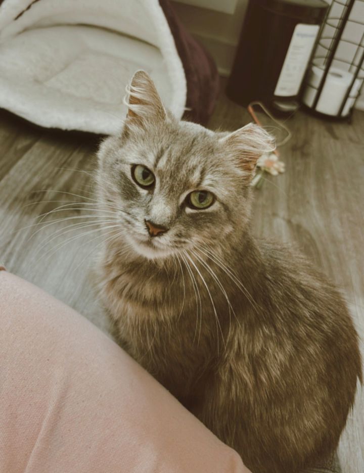 Maisy 3