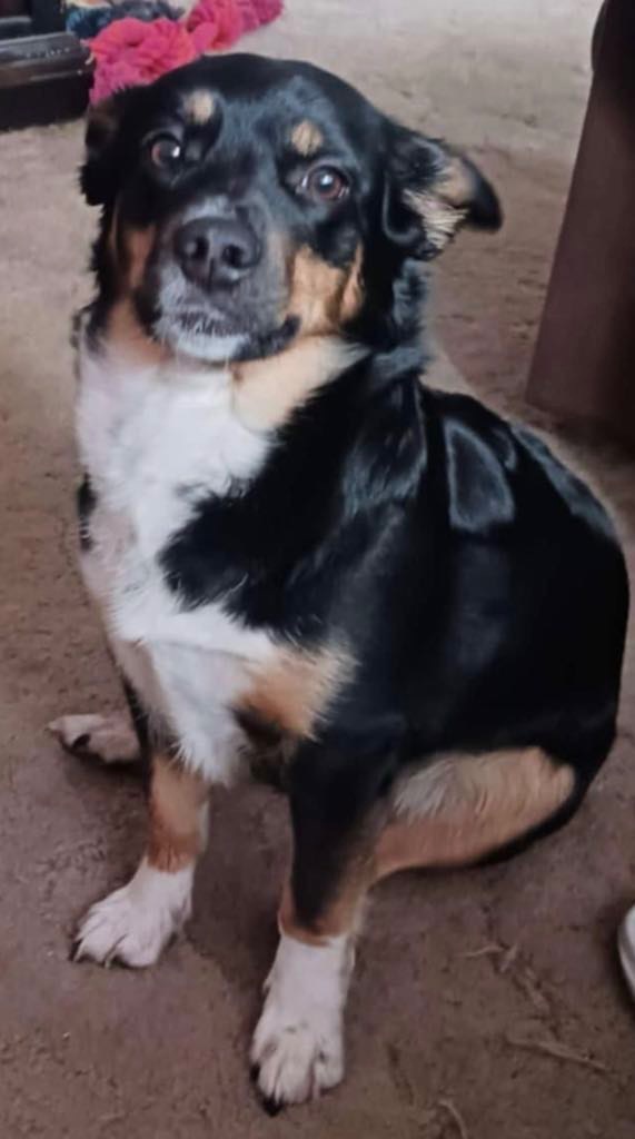 Ella