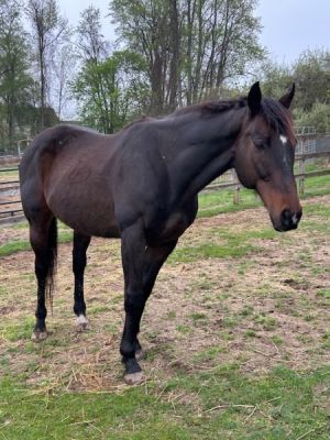 Spartan, Senior Male unknown