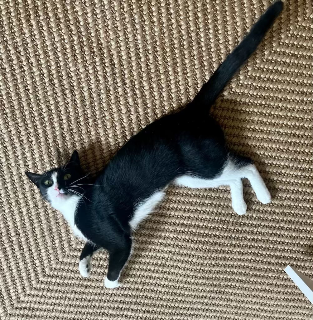 Heloise