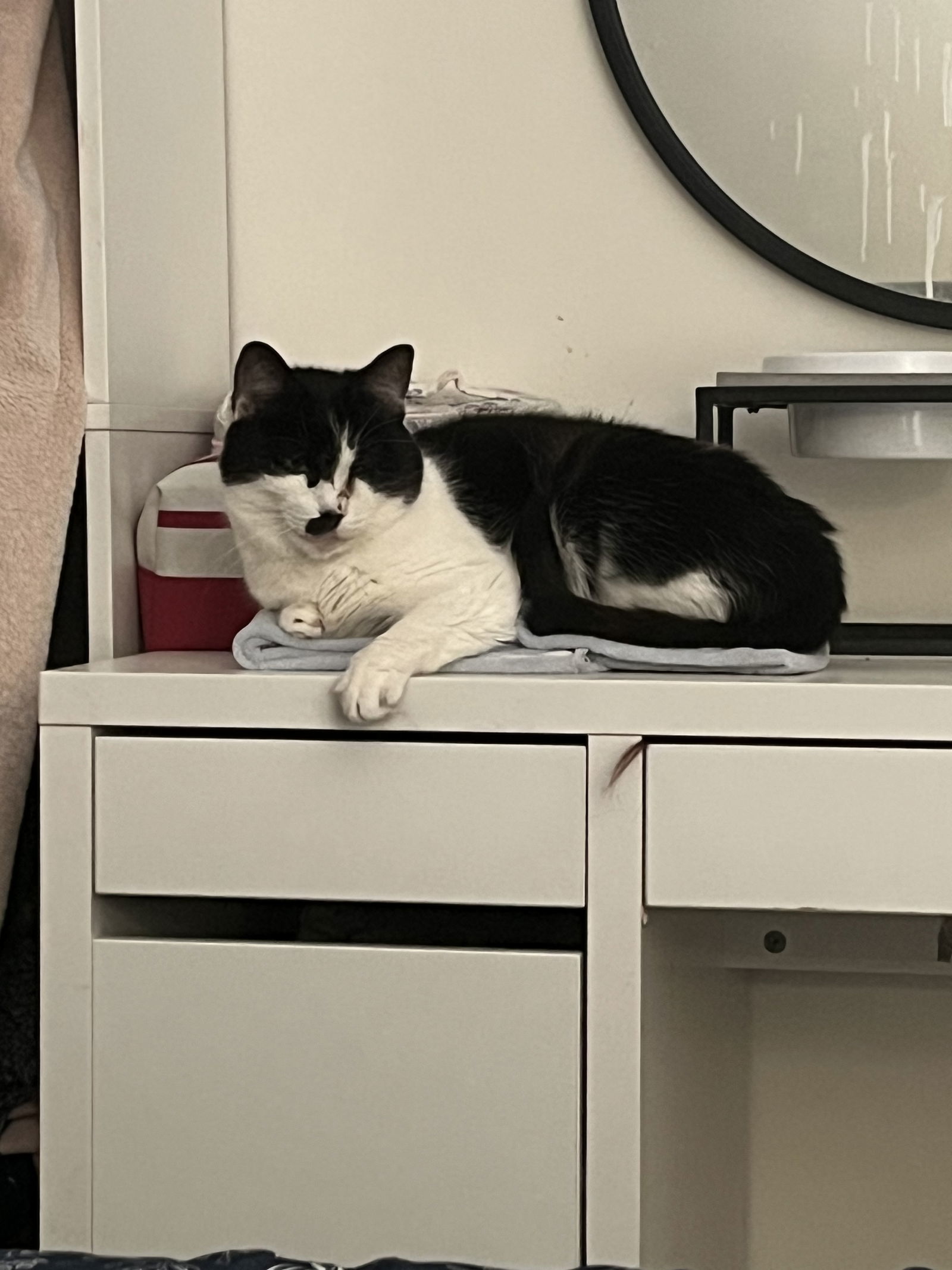 OREO
