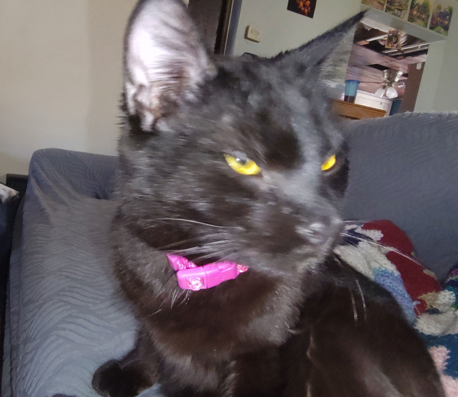 Nona