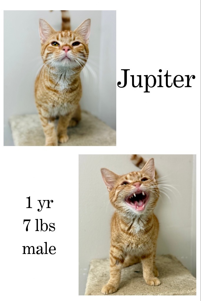 Jupiter