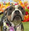 Miss Patty