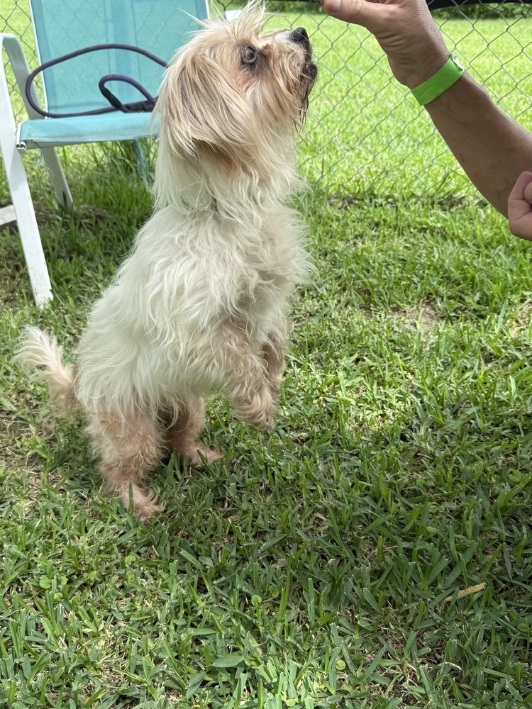 Lilah