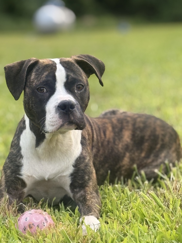 Jax (Jaxy boy)