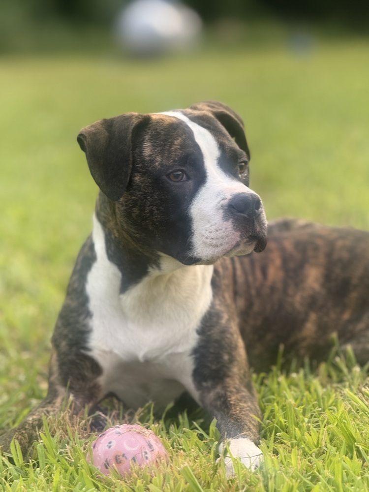 Jax (Jaxy boy)