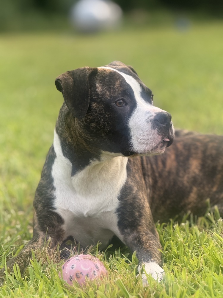 Jax (Jaxy boy)