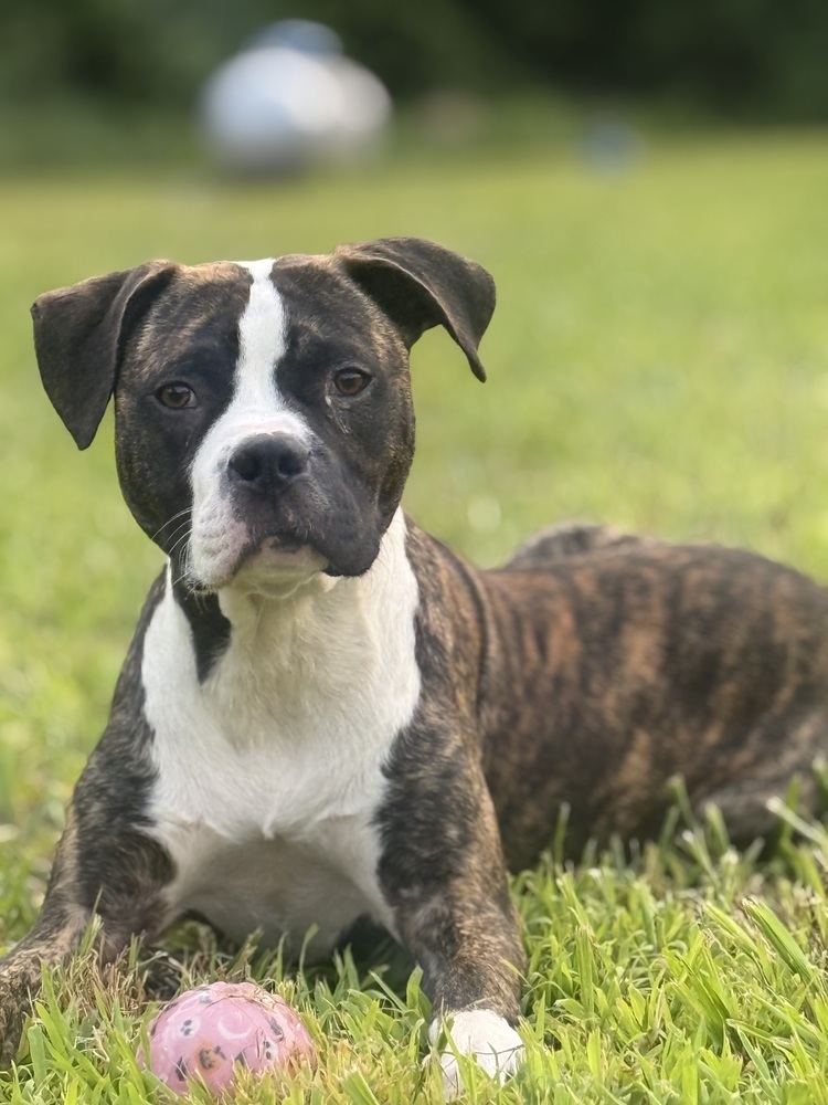 Jax (Jaxy boy)