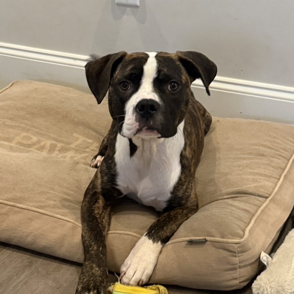 Jax (Jaxy boy)