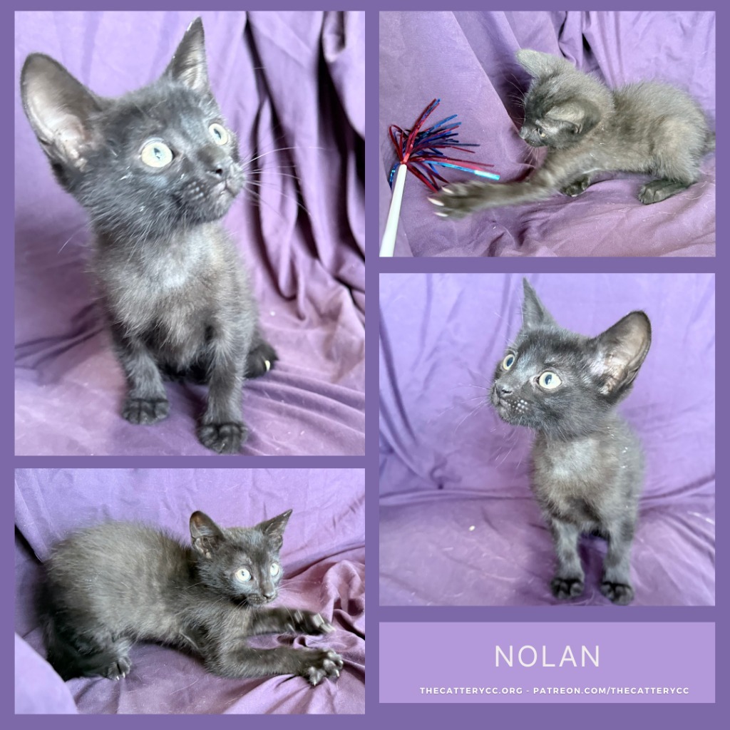Nolan