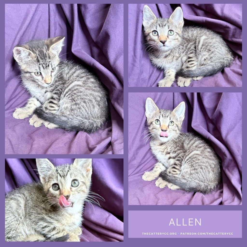 Allen