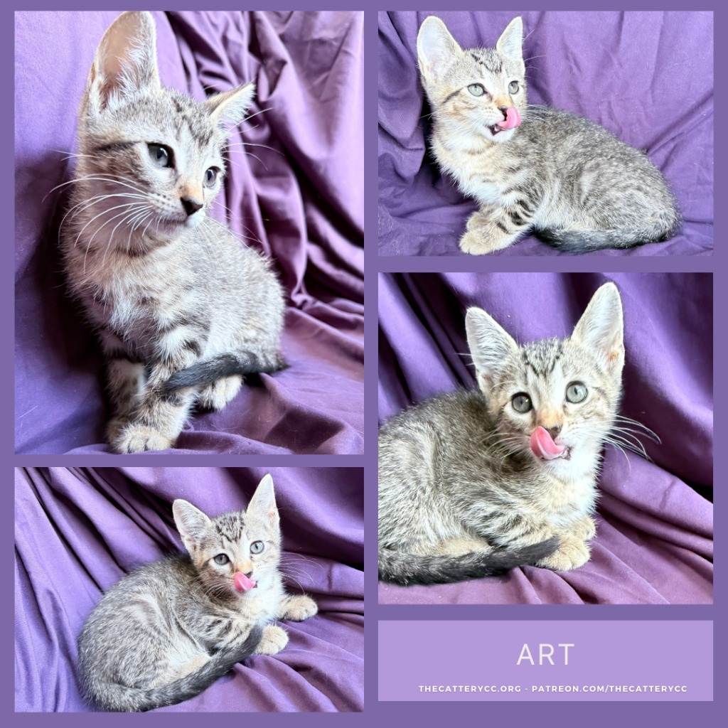 Art