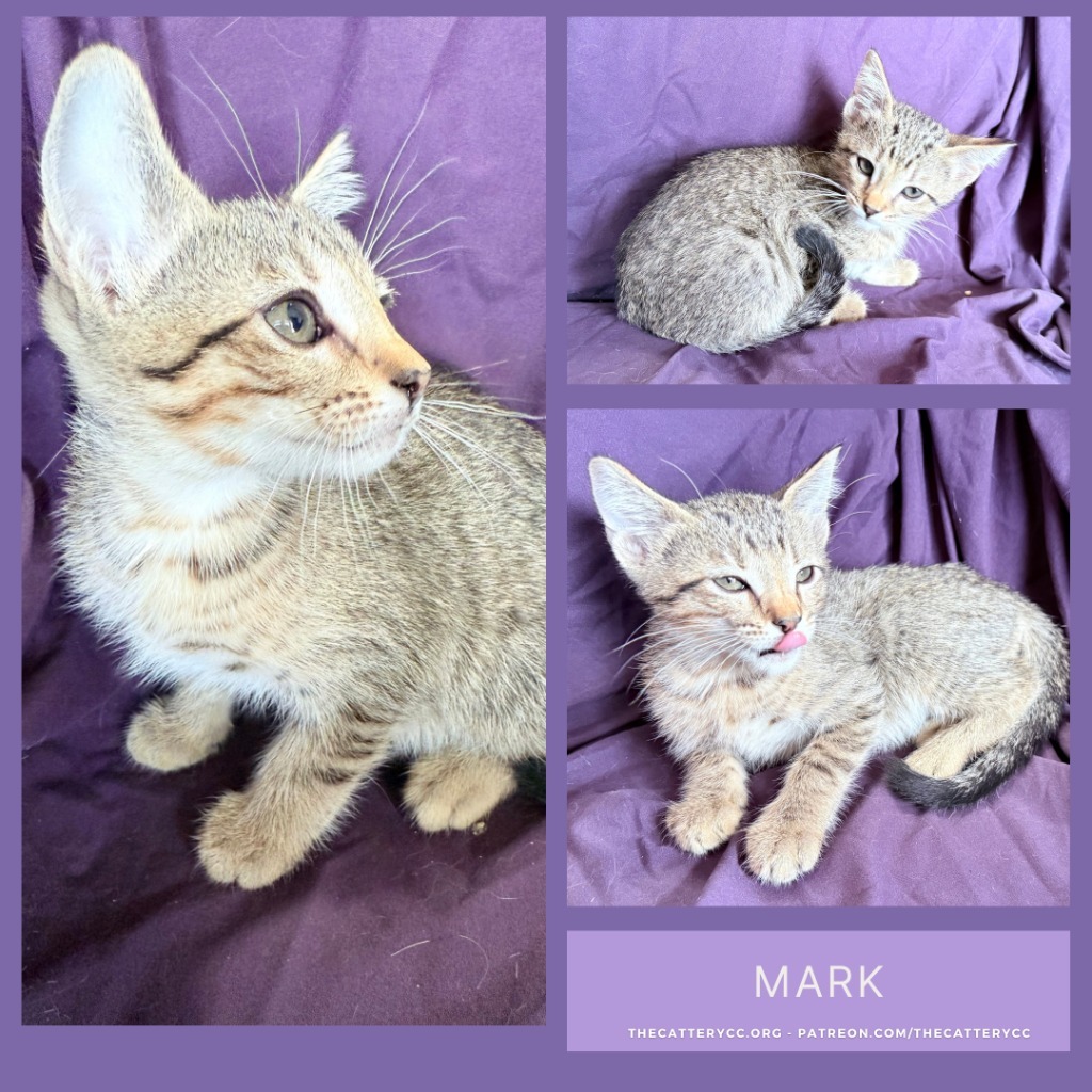 Mark