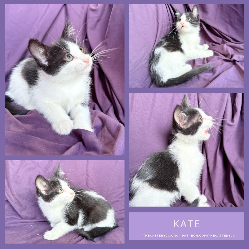 Kate