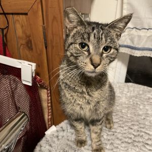 Neko is the definition of sweetness-affectionate gentle and always ready for f