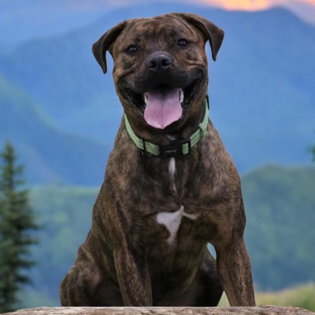 Spike