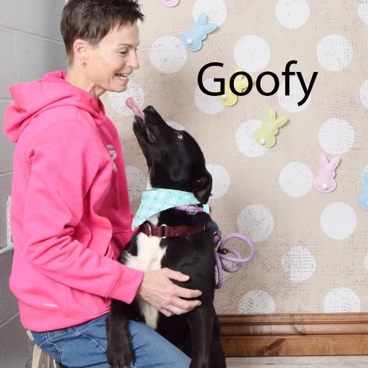 Goofy
