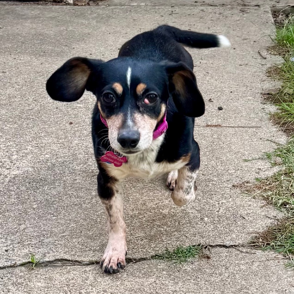Heidi