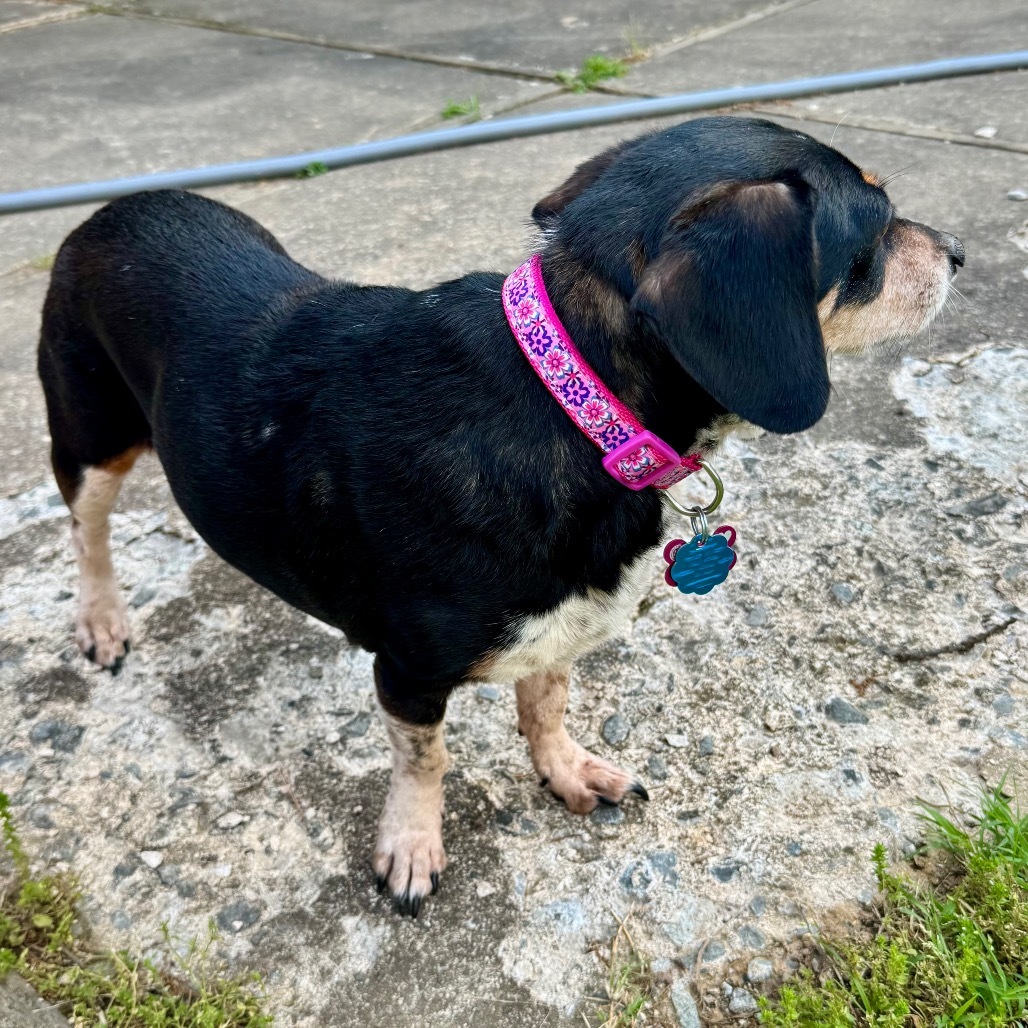 Heidi