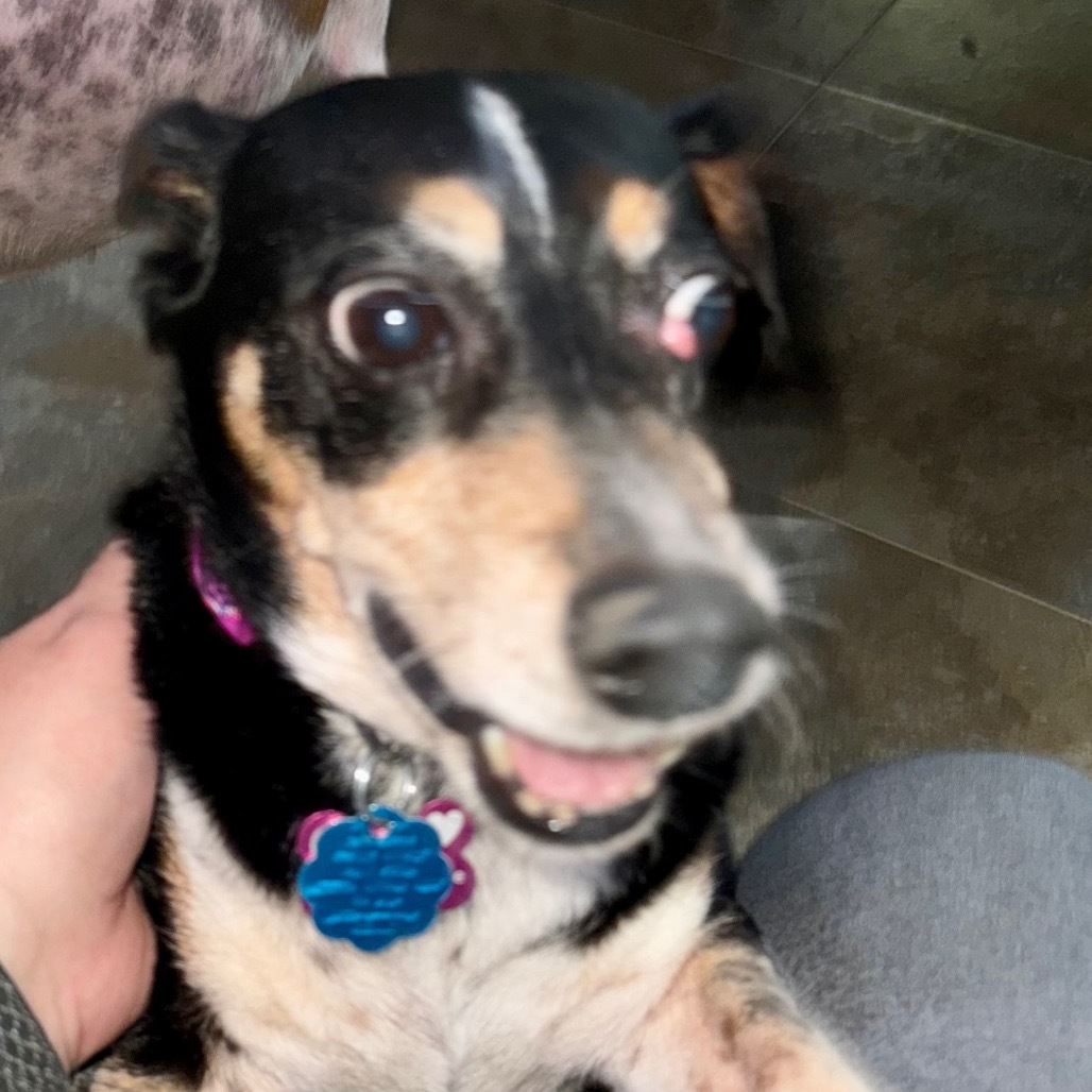 Heidi