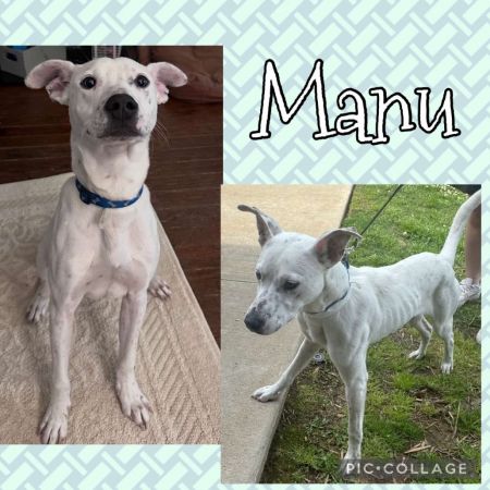 Manu photo