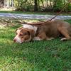 Mavis photo 2